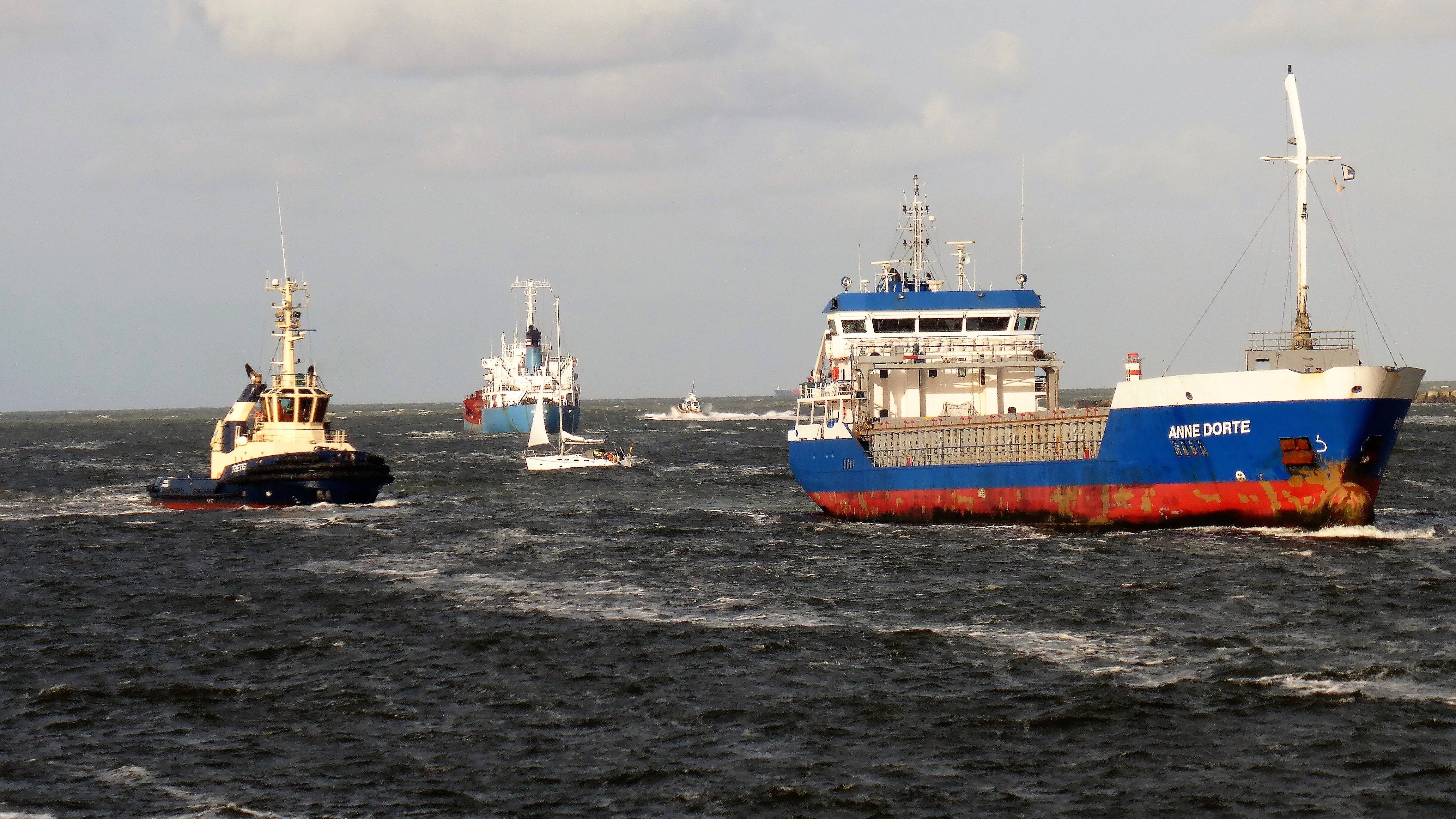 Pieren IJmuiden 12-10-17 